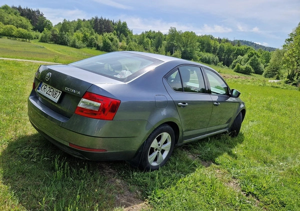 Skoda Octavia cena 63700 przebieg: 65000, rok produkcji 2018 z Kraków małe 92